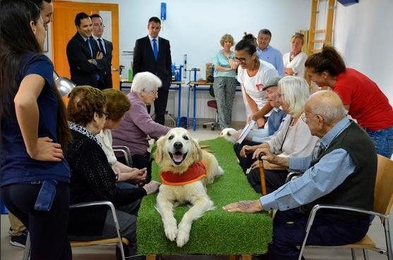 terapia con animales copia - Éxito de las terapias con perros en el Centro de Día de Jávea