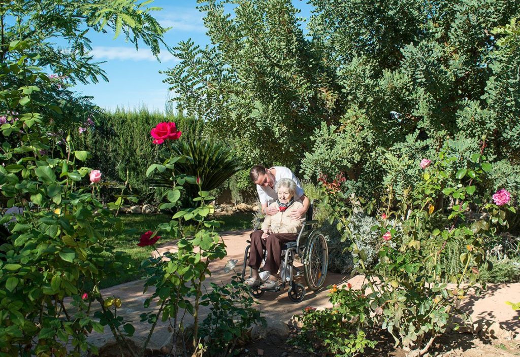 Benisano jardin paseo2 1024x704 - Acreditaci&oacute;n de las competencias del voluntariado, un plus para tu curr&iacute;culum vitae