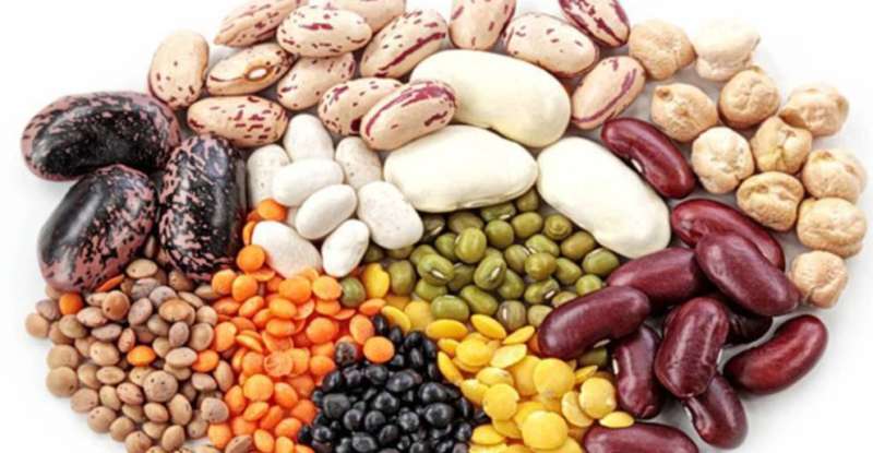 legumbres 800x415 - Legumbres: ¿superalimento o pasadas de moda?