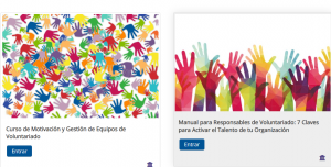 volun 1 300x152 - Opciones formativas Campus Lares - Voluntariado