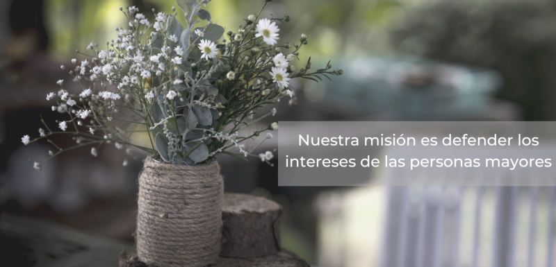 Nuevo banner  800x385 - Asociaci&oacute;n de Residencias y Servicios de Atenci&oacute;n a los Mayores Lares Comunidad Valenciana