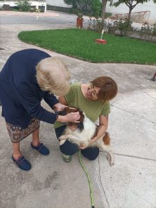 1666266722950 225x300 - Transformaci&oacute;n del Modelo de Cuidados - Residencia C&aacute;ritas Interparroquial Burriana