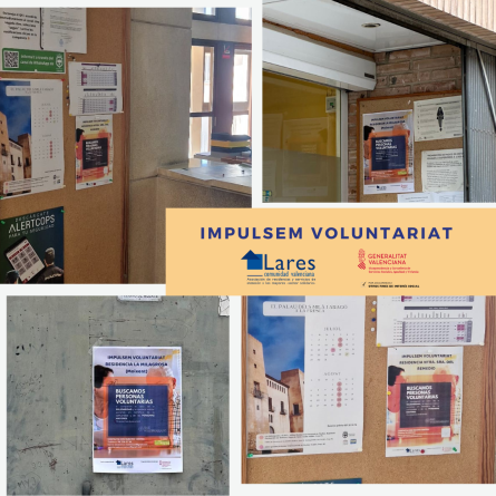 Impulsem Voluntariat DIFUSION Post de Instagram 445x445 - Fortaleciendo la Participación Comunitaria - Impulsem Voluntariat